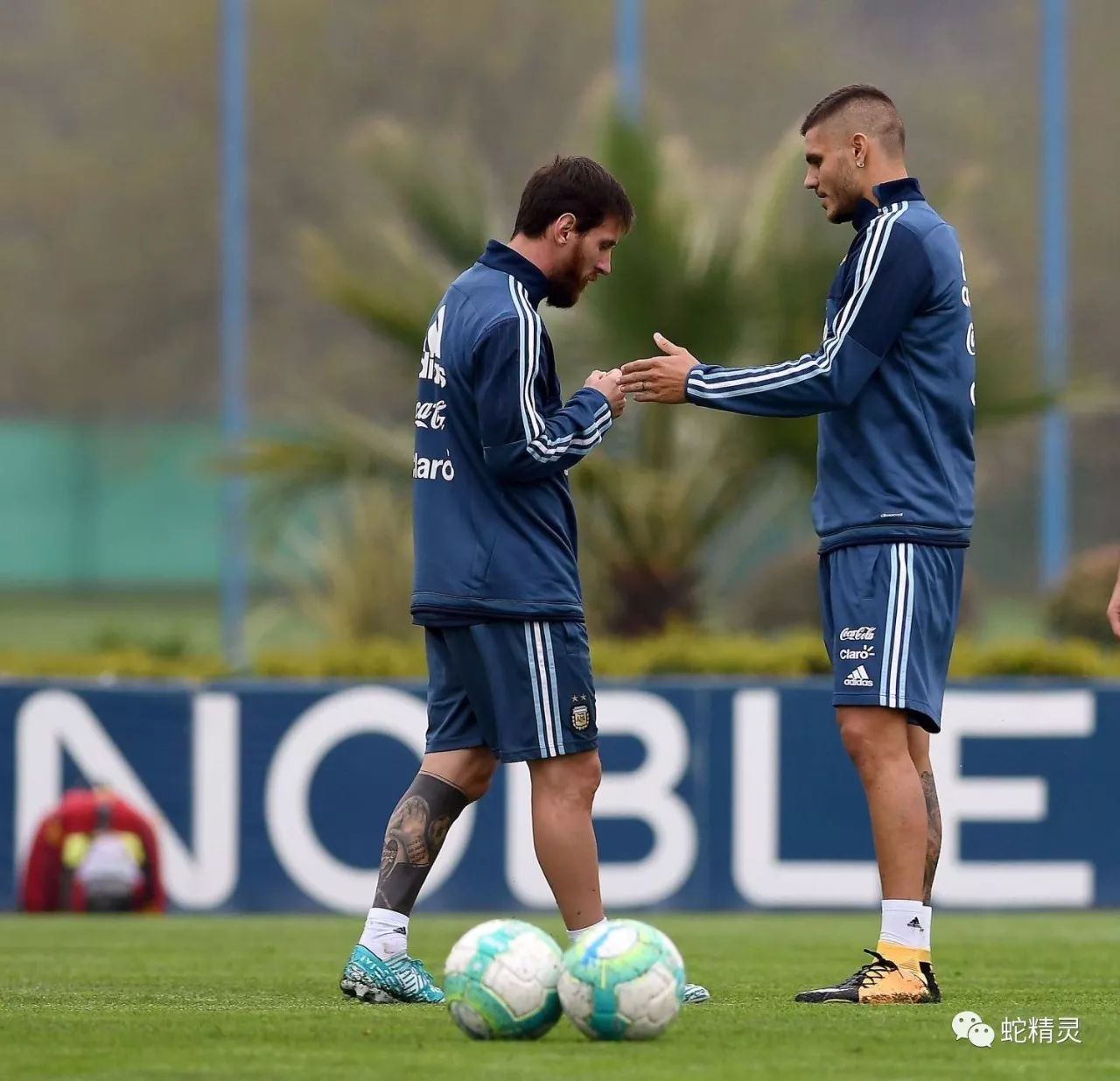 爱游戏APP-尼斯训练开放日，今夜复出首秀引欢呼，意大利杯在即，赛程密集仍需轮换的简单介绍